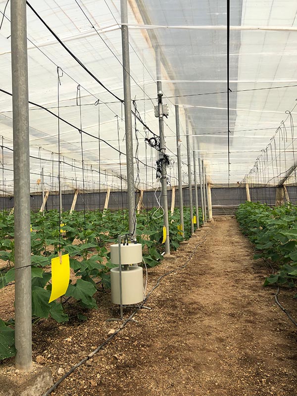 Gremon Systems Trutina Soil setup in a greenhouse 1 - بزرگترین روند بازار سیستم آبیاری که به شرکت شما برای رشد کمک می کند