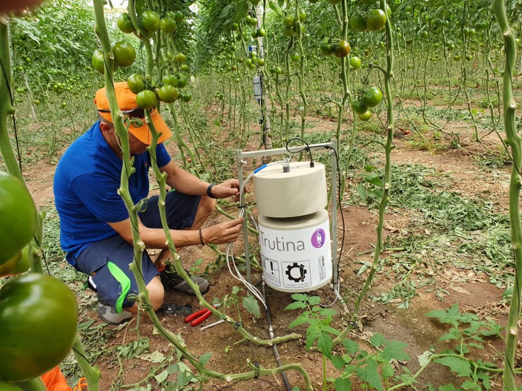 Trutina irrigation system implementation on a tomato farm