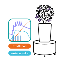 wateruptake_irradiation